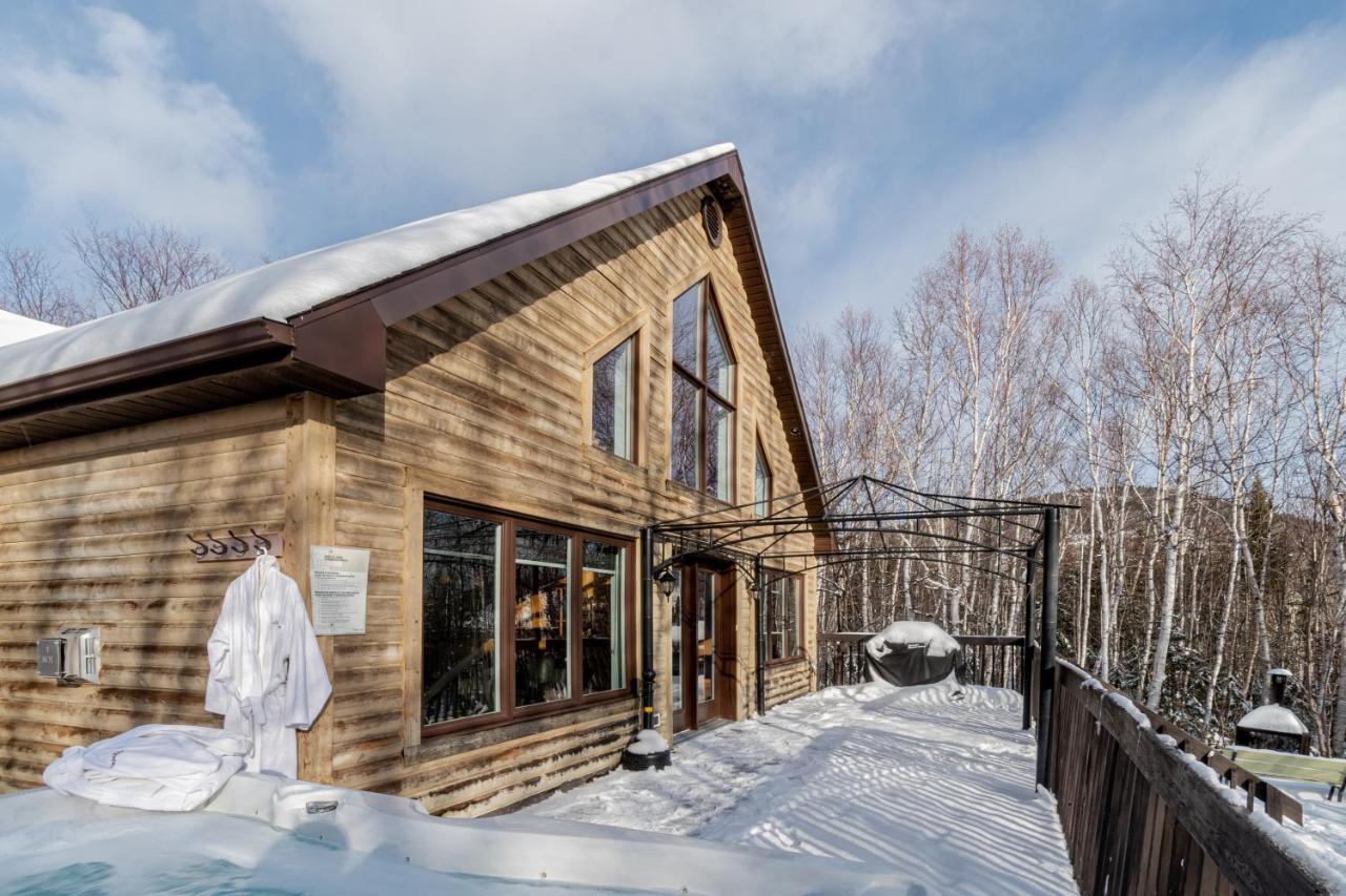 Le Reveur⎮Ski, Spa, Plein-Air Et Detente Petite-Riviere-Saint-Francois Exterior photo