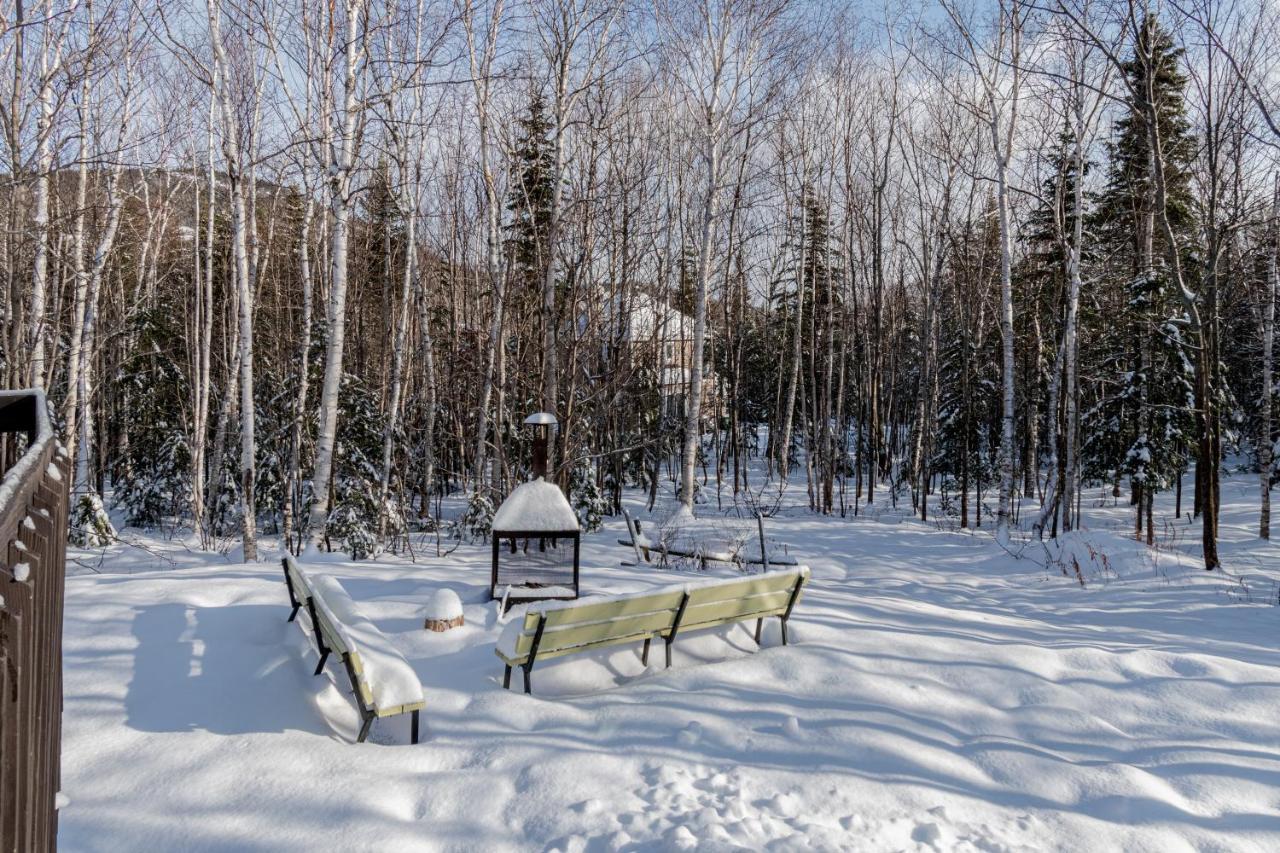 Le Reveur⎮Ski, Spa, Plein-Air Et Detente Petite-Riviere-Saint-Francois Exterior photo